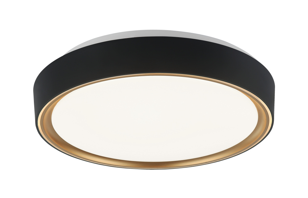 Alamus Aged Gold Brass + Matte Black Ceiling Mount