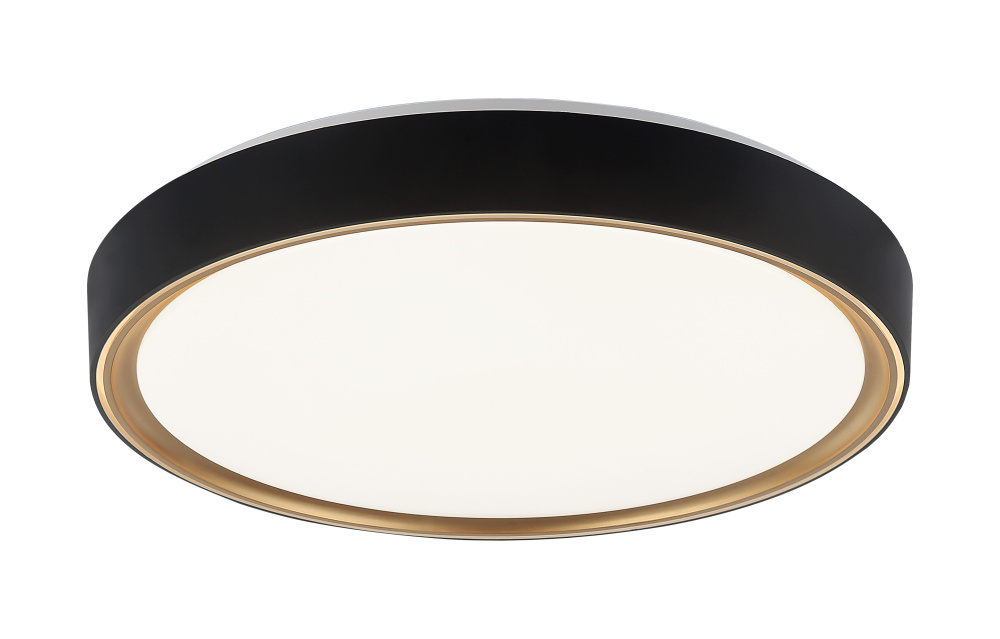 Alamus Aged Gold Brass + Matte Black Ceiling Mount
