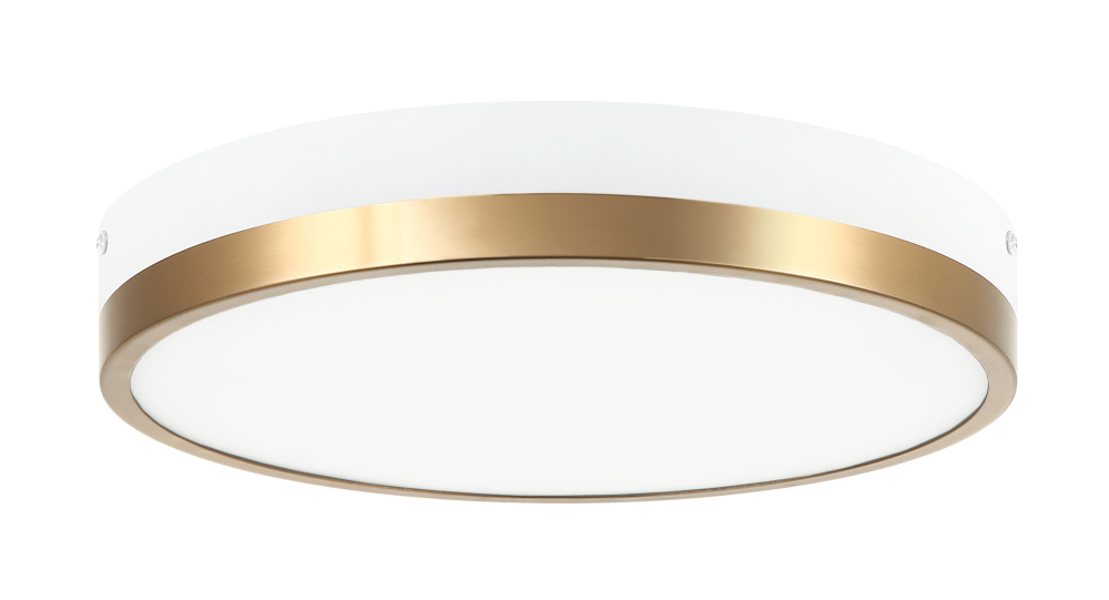 Tone White and Aged Gold Brass Ceiling Mount