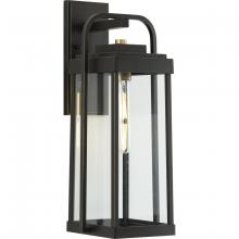 Progress P560287-020 - P560287-020 1-60W MED WALL LANTERN