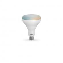 Dals DCP-BLBBR30 - DCPro Smart Br30 LED Bulb