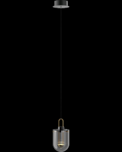 Page One Lighting PP121365-SDG/SBN - Century